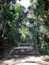 Mount Faber Lodge (D4), Condominium #448661851